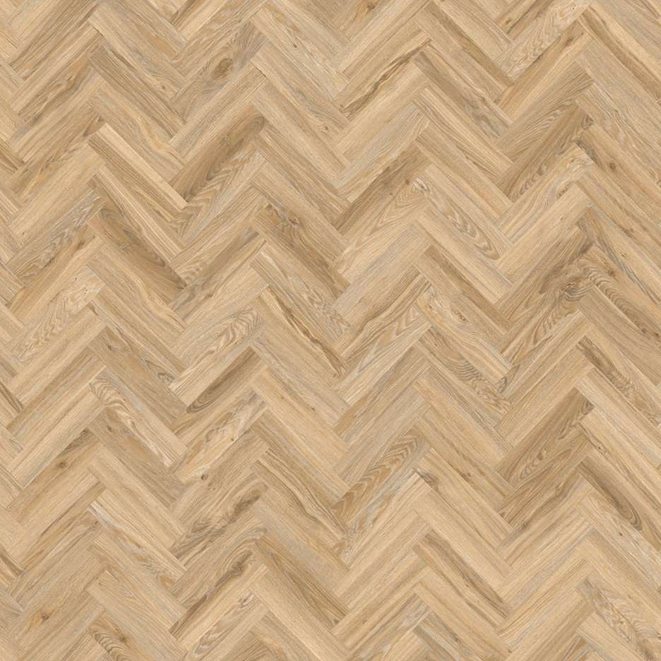 Blackjack Oak 22220